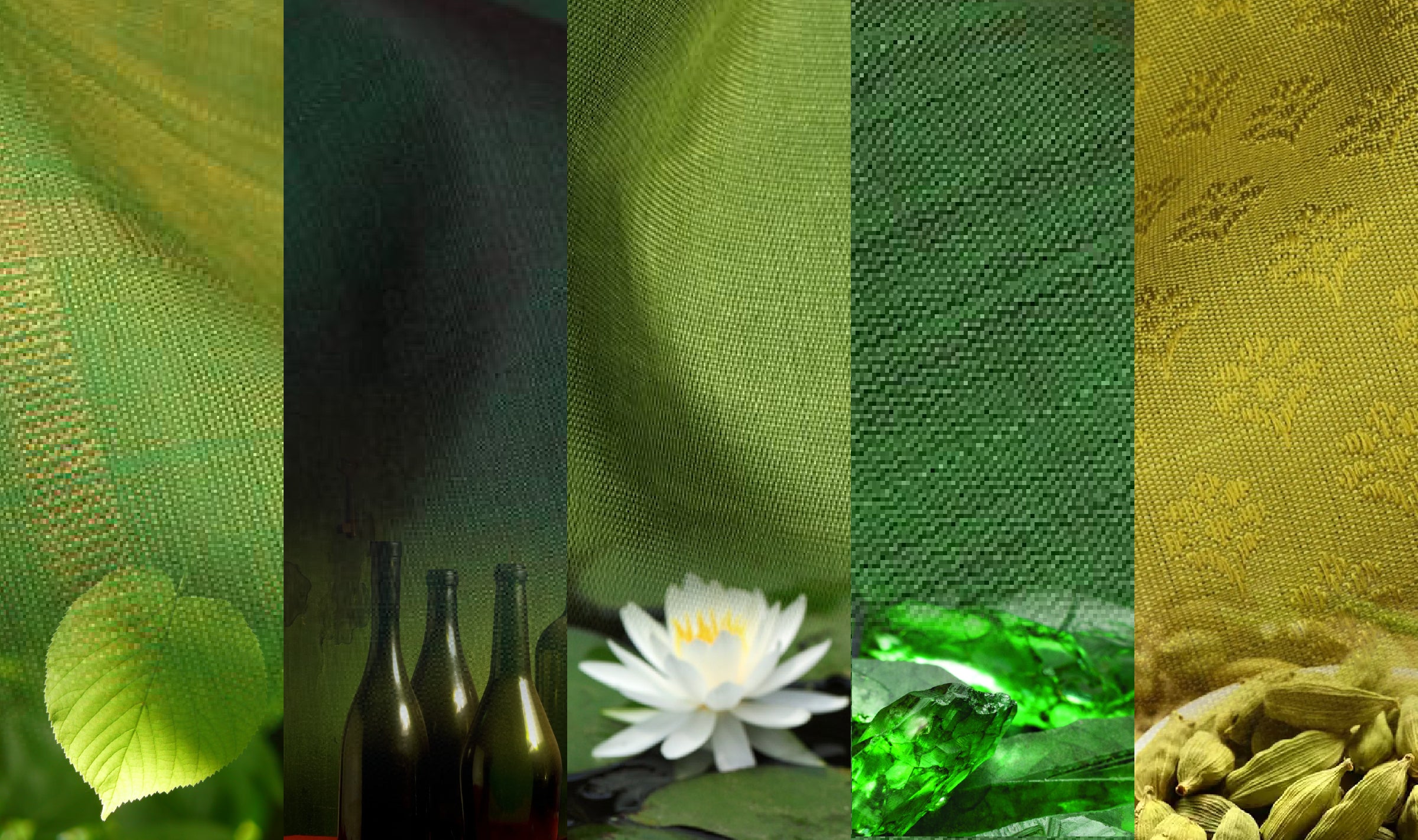 Varna Sutra : Haritha - The Colour Of Life