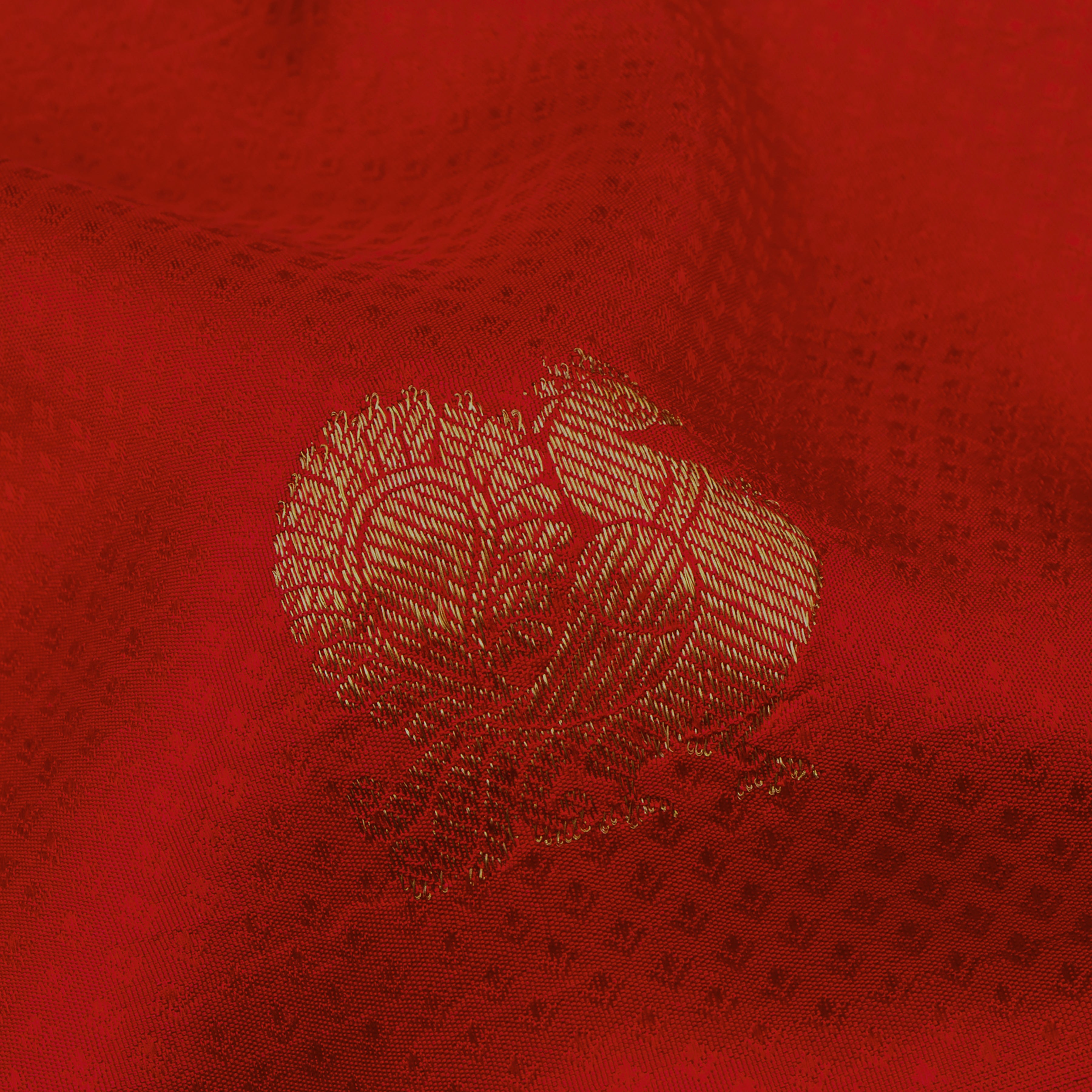 Kanakavalli Kanjivaram Silk Sari 22-599-HS001-01977 - Fabric View