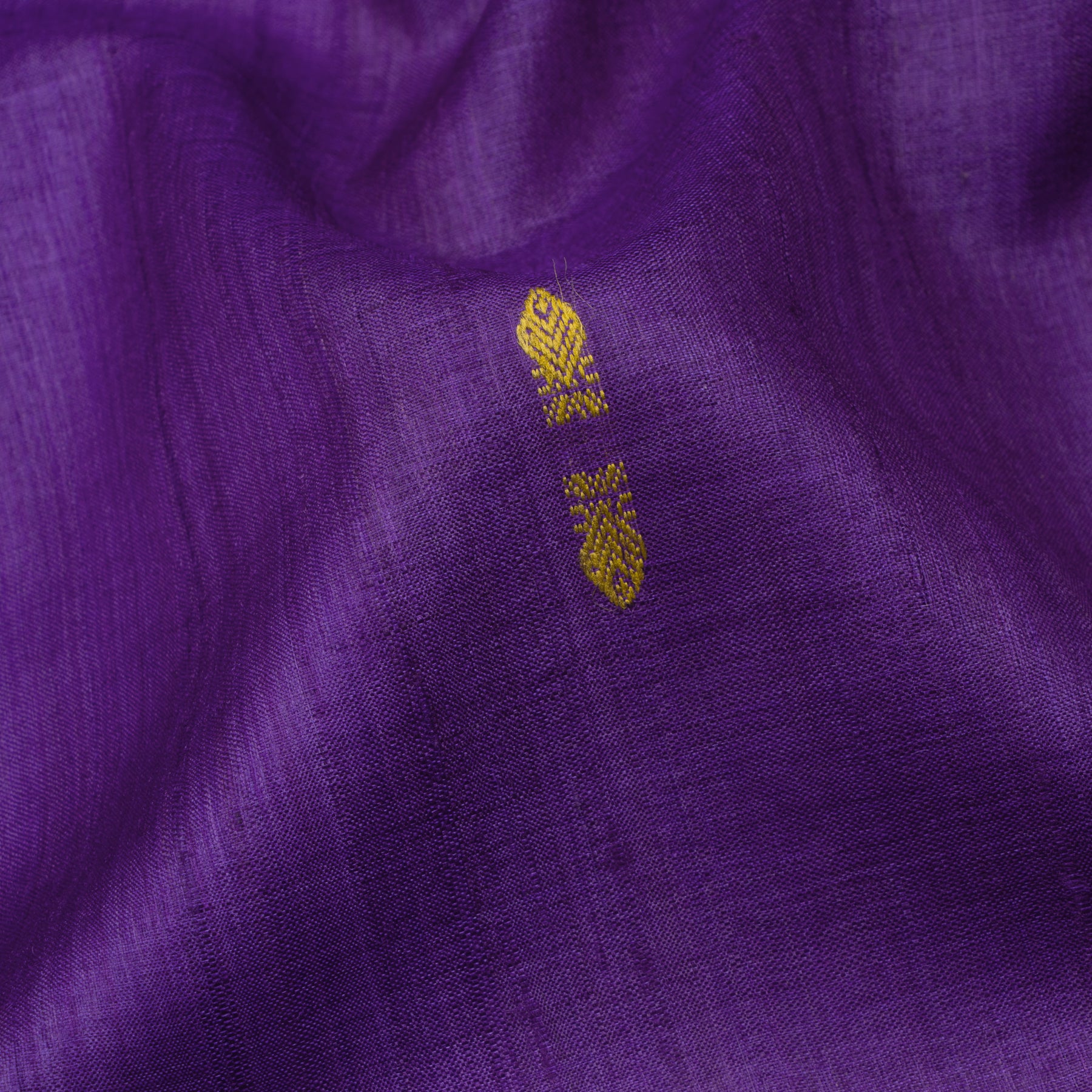 Vani Vrtti Tussore Silk Sari 25-015-HS002-00208 - Fabric View