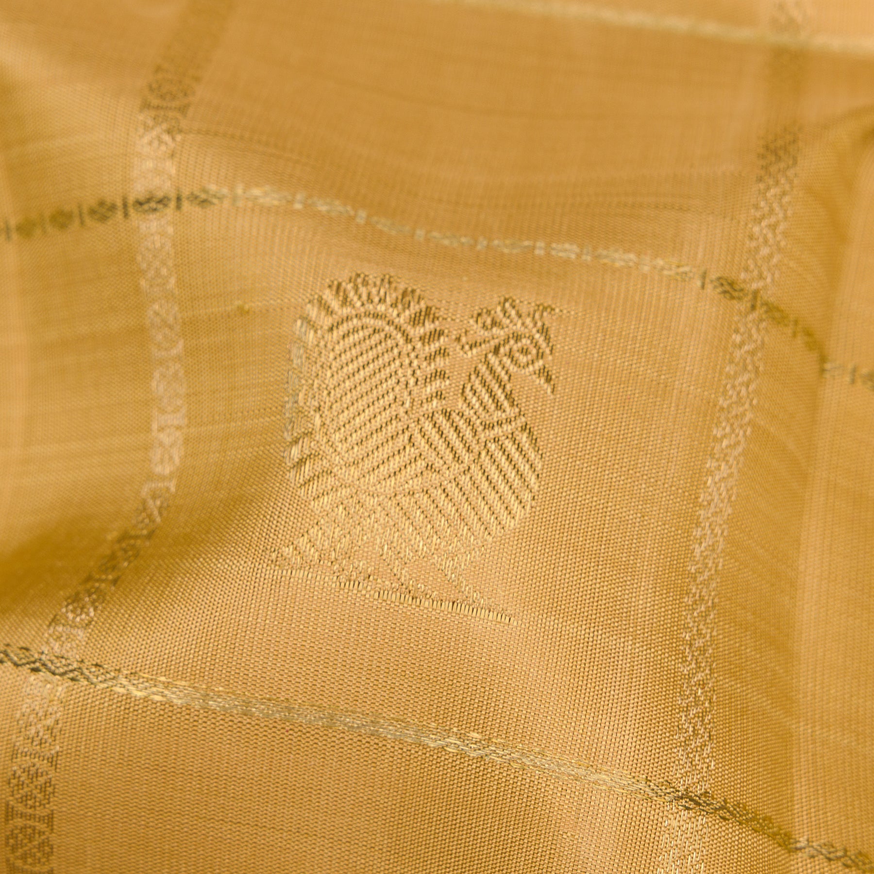 Kanakavalli Kanjivaram Silk Sari 25-109-HS001-09659 - Fabric View