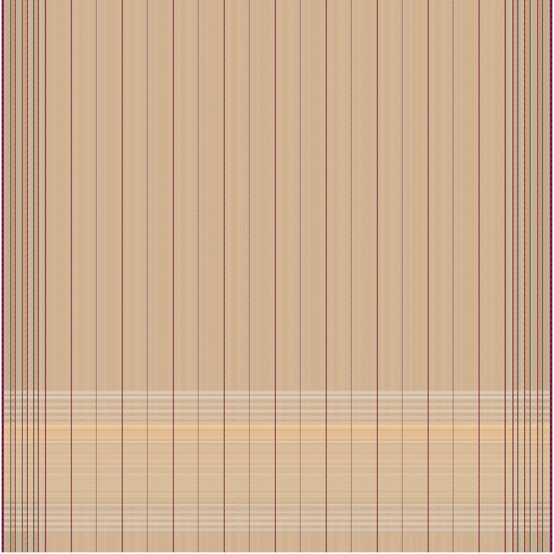 Taan Baan Cotton Sari 26-013-HS003-00018 - Full View