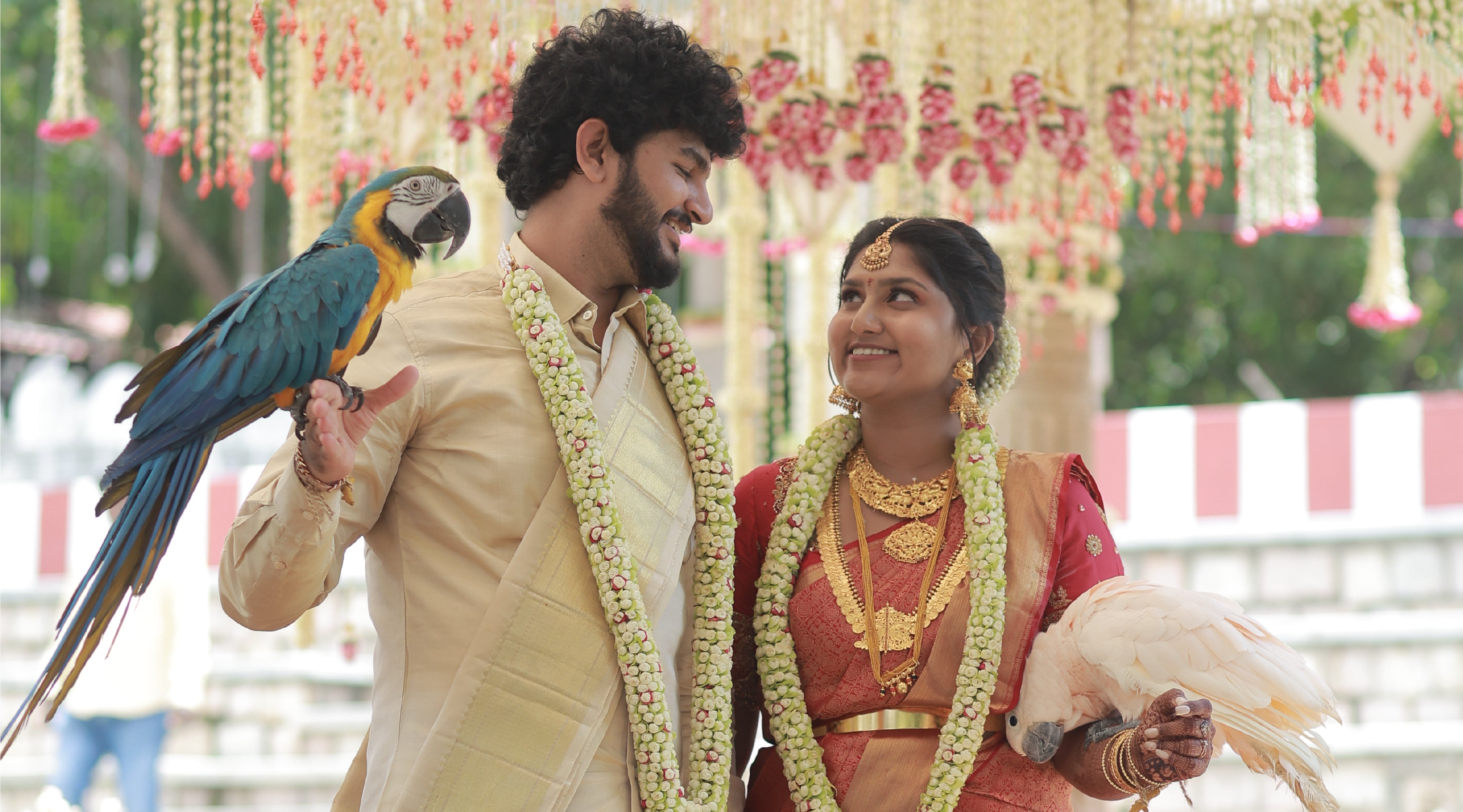 Kanakavalli Bride : Kavya