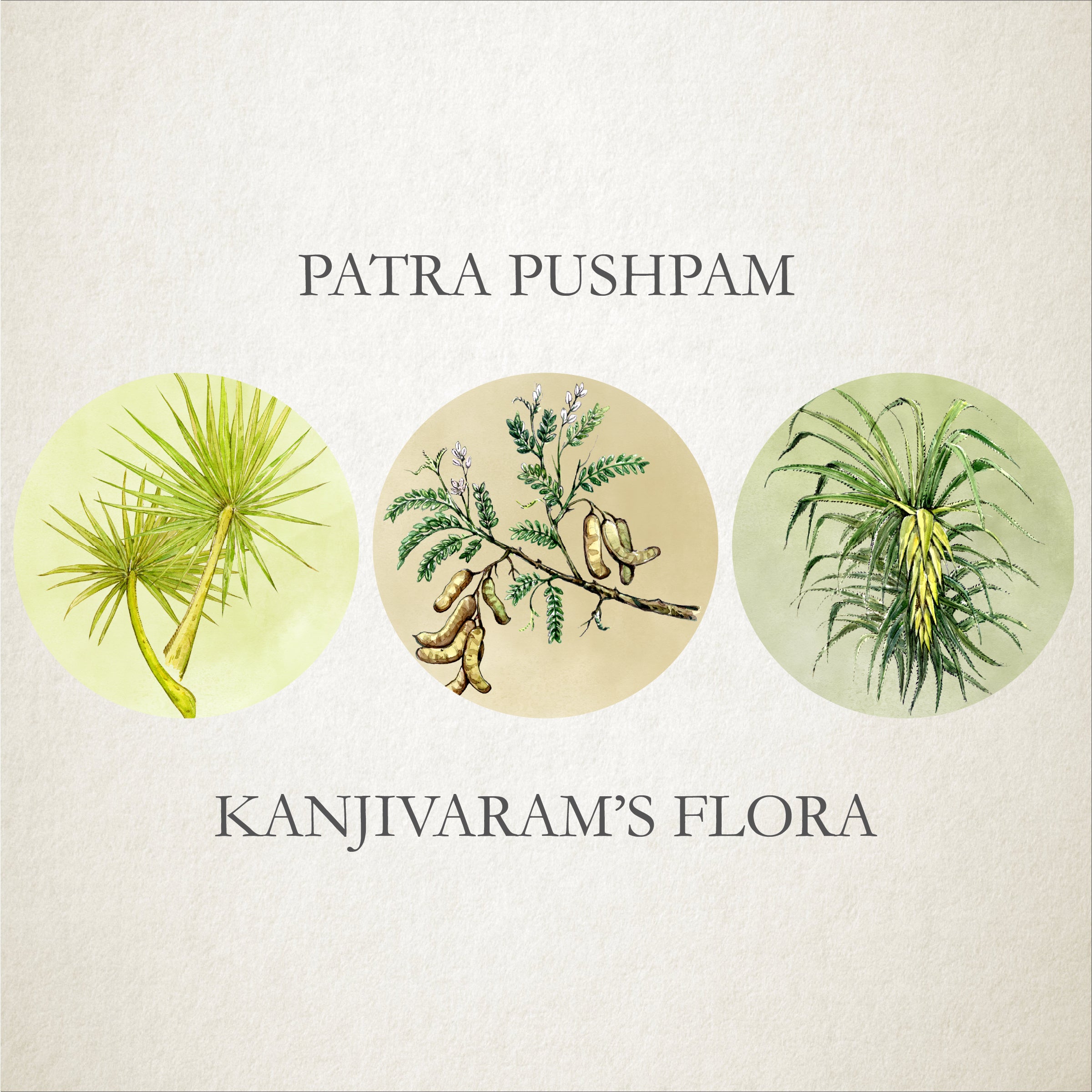 Varna Sutra : Patra, Pushpam - Flora on the kanjivaram