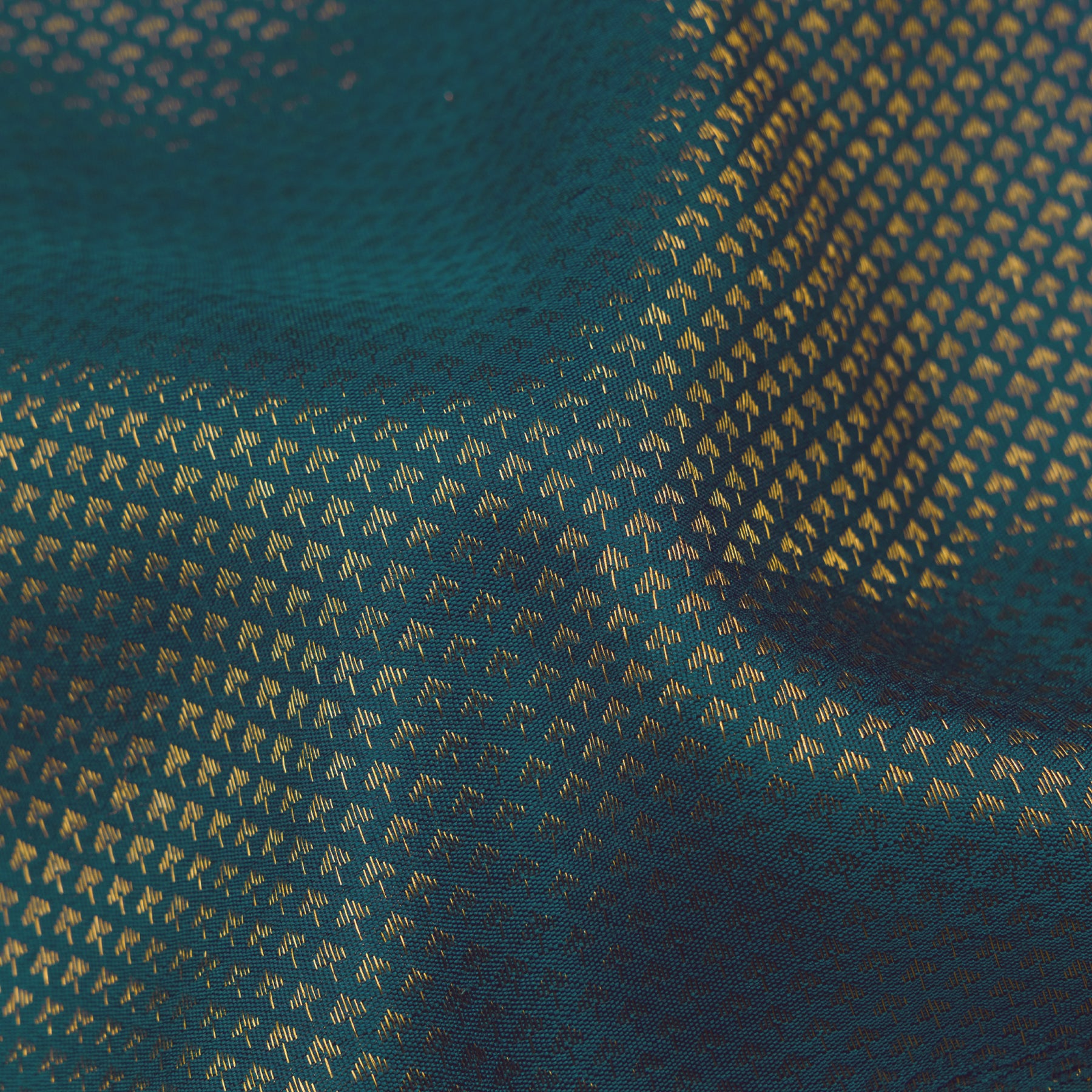 Kanakavalli Kanjivaram Silk Sari 19-020-HS001-01079 - Fabric View