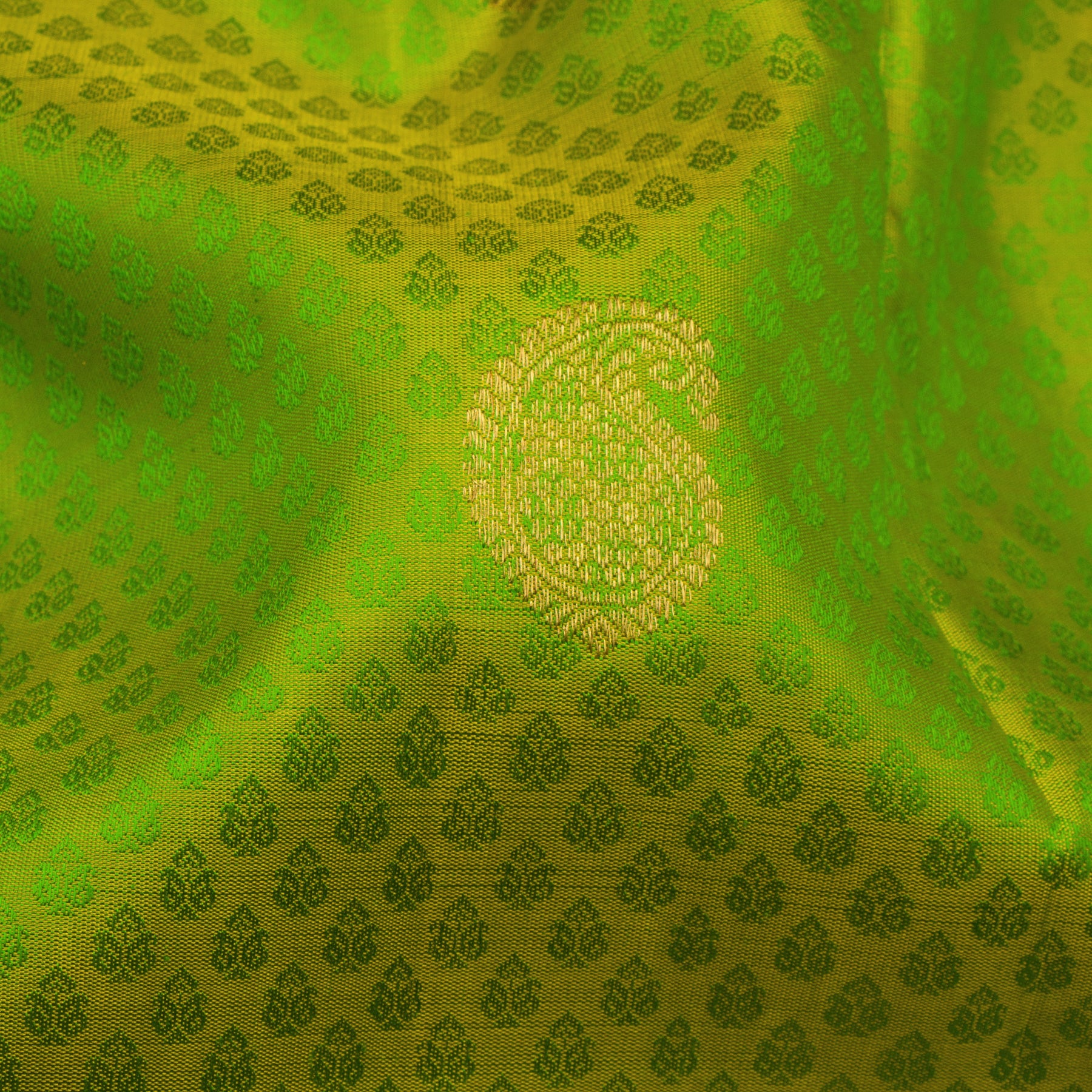 Kanakavalli Kanjivaram Silk Sari 23-599-HS001-05256 - Fabric View