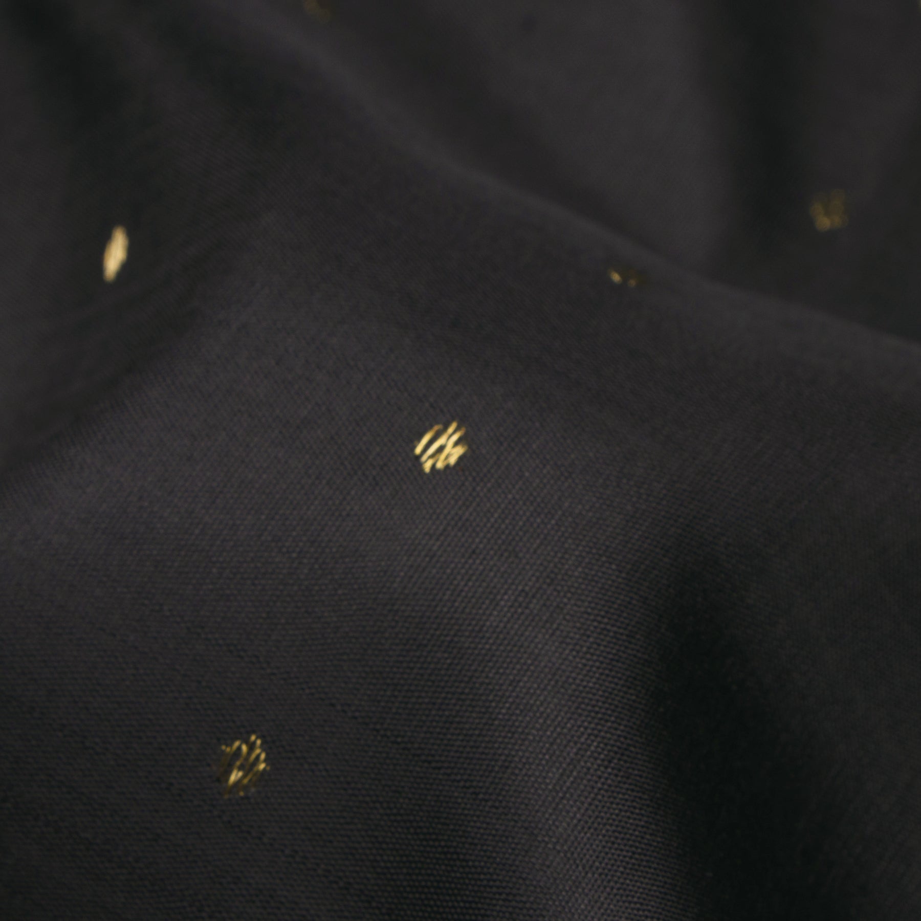 Kanakavalli X Kasuti Kanjivaram Silk Sari 24-040-HS001-11914 - Fabric View