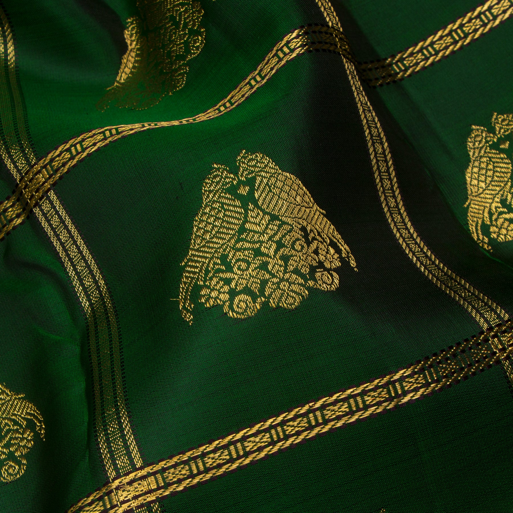 Kanakavalli Kanjivaram Silk Sari 24-040-HS001-12356 - Fabric View