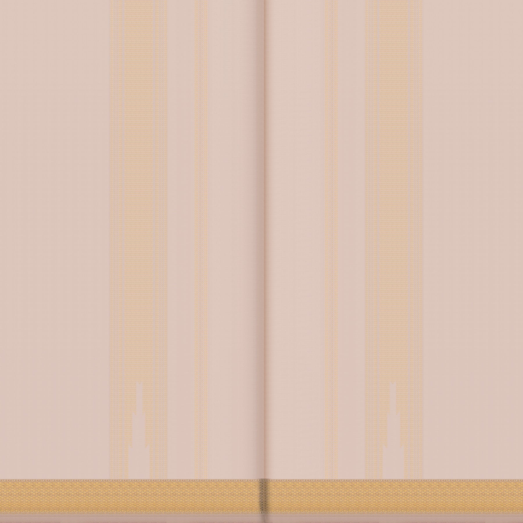 Kanakavalli Kanjivaram Silk Angavastram CO-ORD 24-110-AF001-14676 - Angavastram View