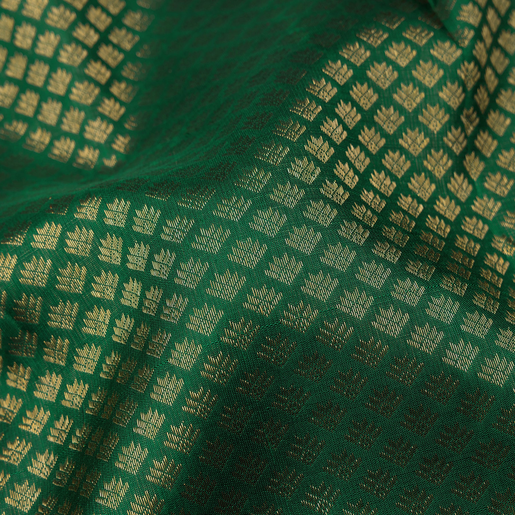 Kanakavalli Kanjivaram Silk Sari 24-599-HS001-02705 - Fabric View