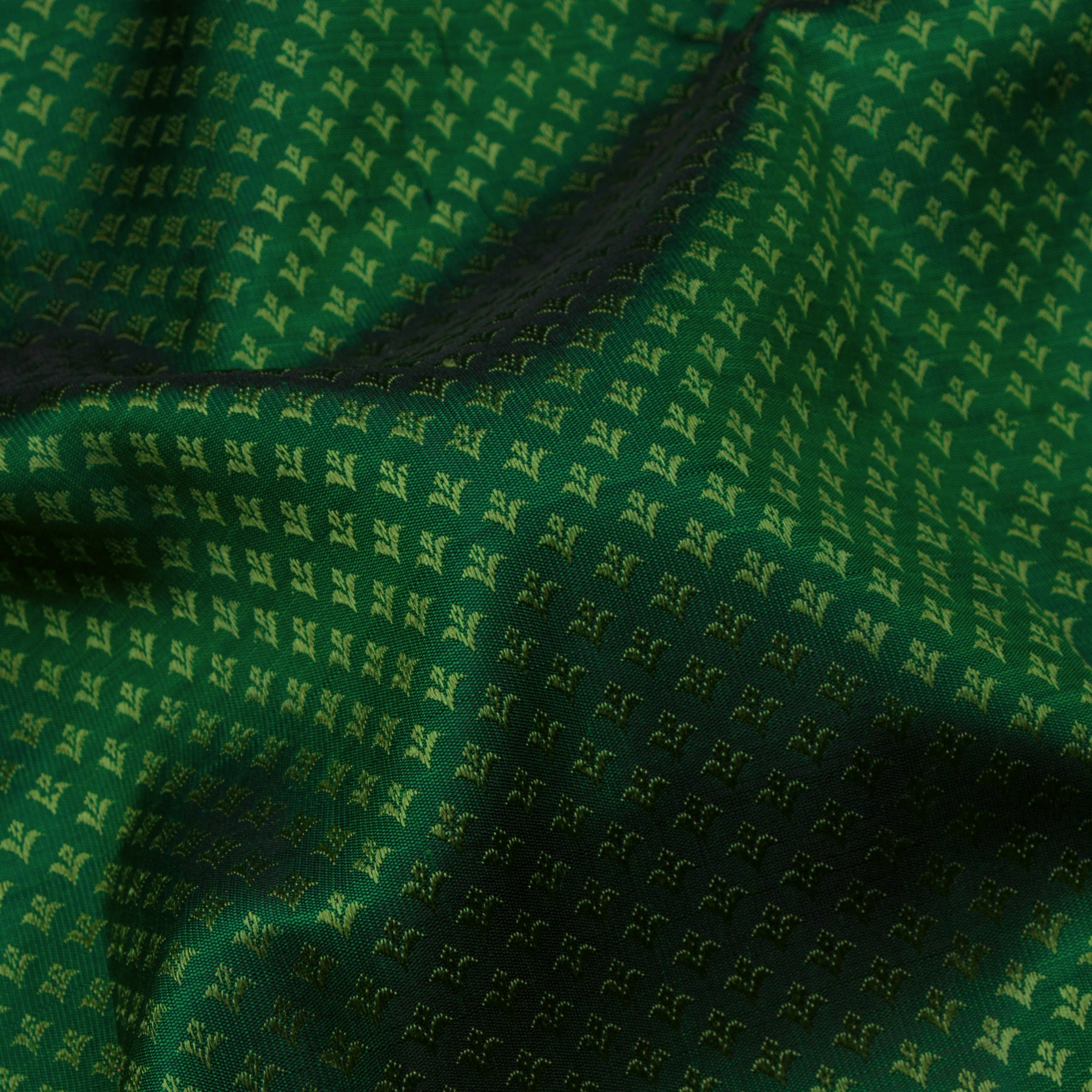 Kanakavalli Kanjivaram Silk Sari 24-615-HS001-08694 - Fabric View