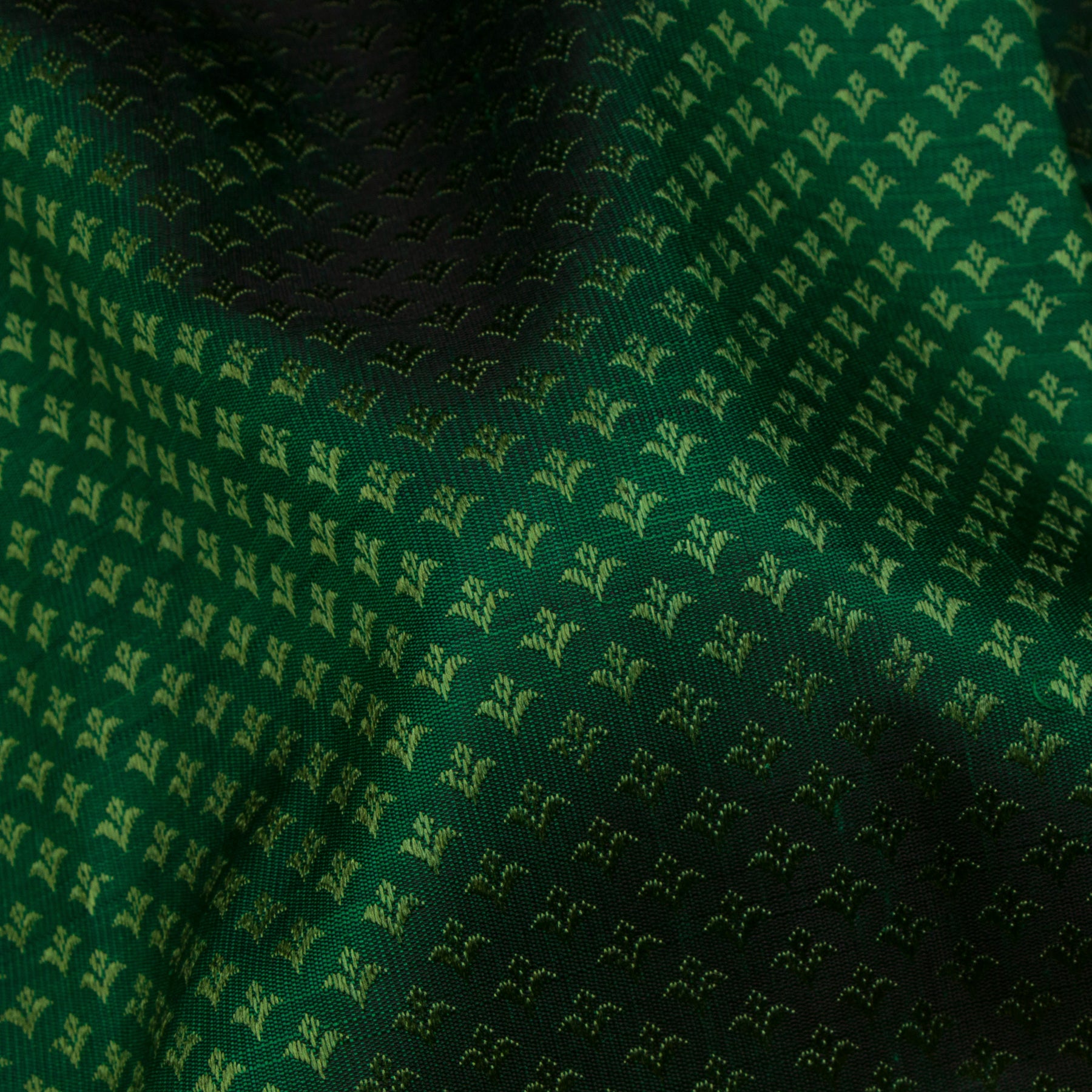 Kanakavalli Kanjivaram Silk Sari 24-615-HS001-10156 - Fabric View