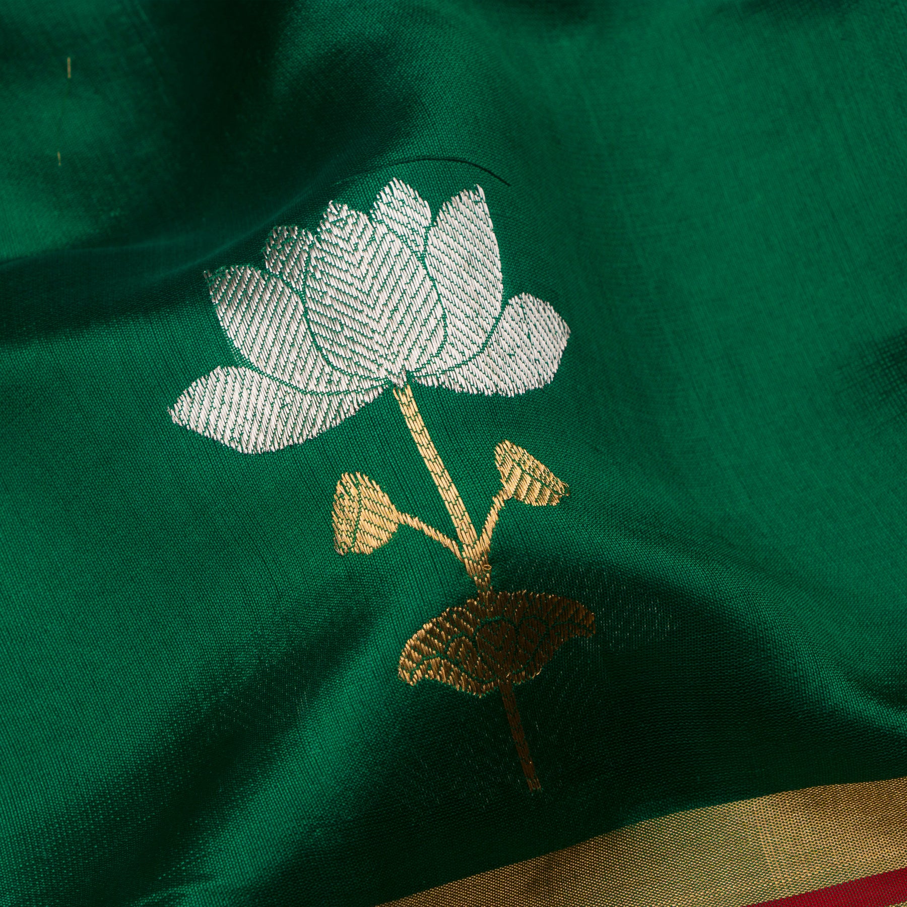 Chanderi Silk Sari 25-004-HS002-00024 - Fabric View