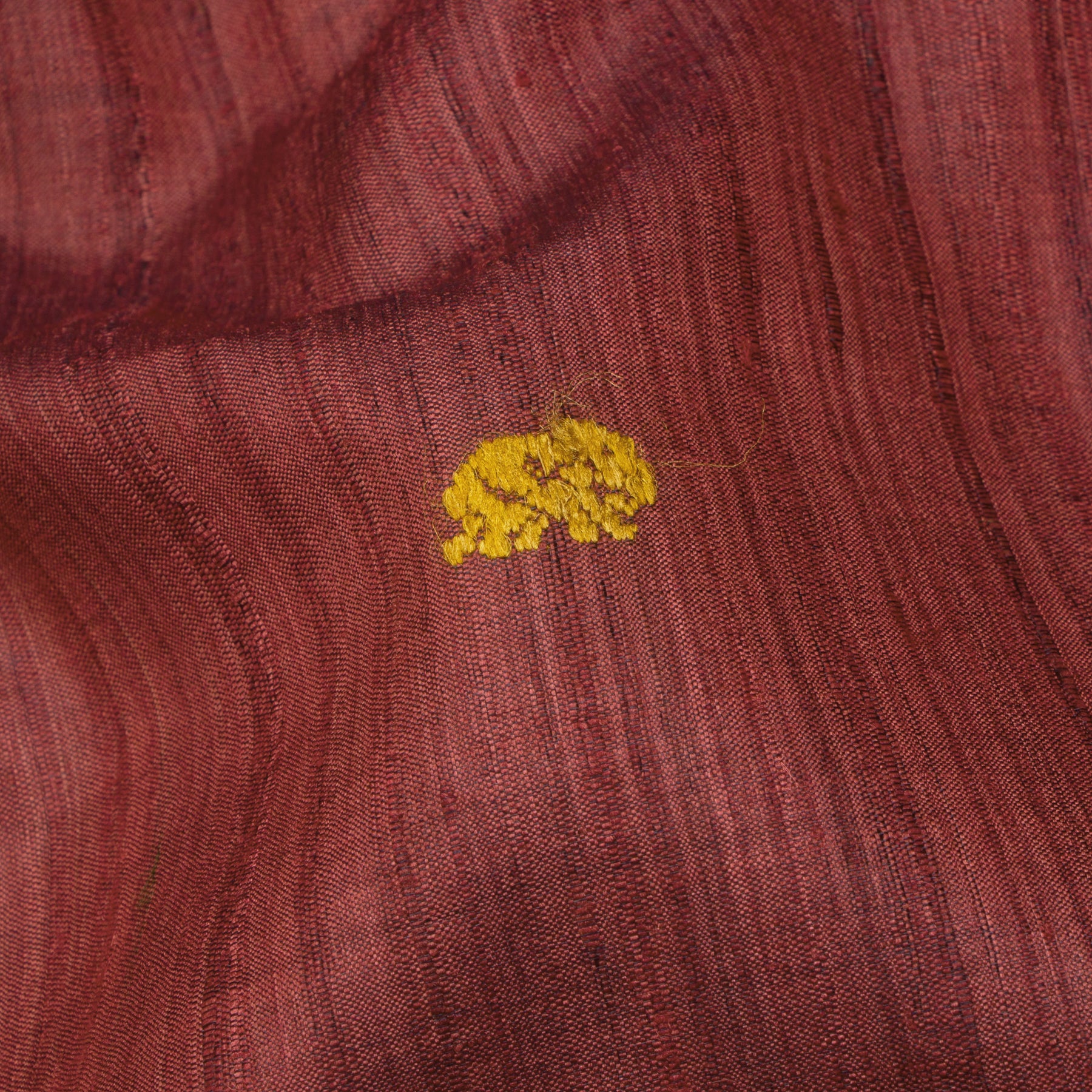 Vani Vrtti Tussore Silk Sari 25-015-HS002-00222 - Fabric View