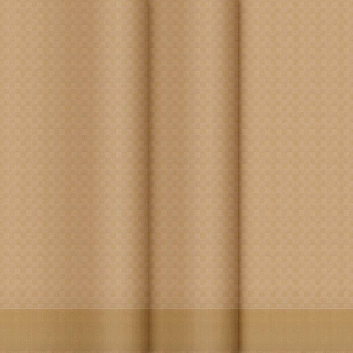 Kanakavalli Kanjivaram Silk Angavastram CO-ORD 25-110-AF001-03273 - Profile View