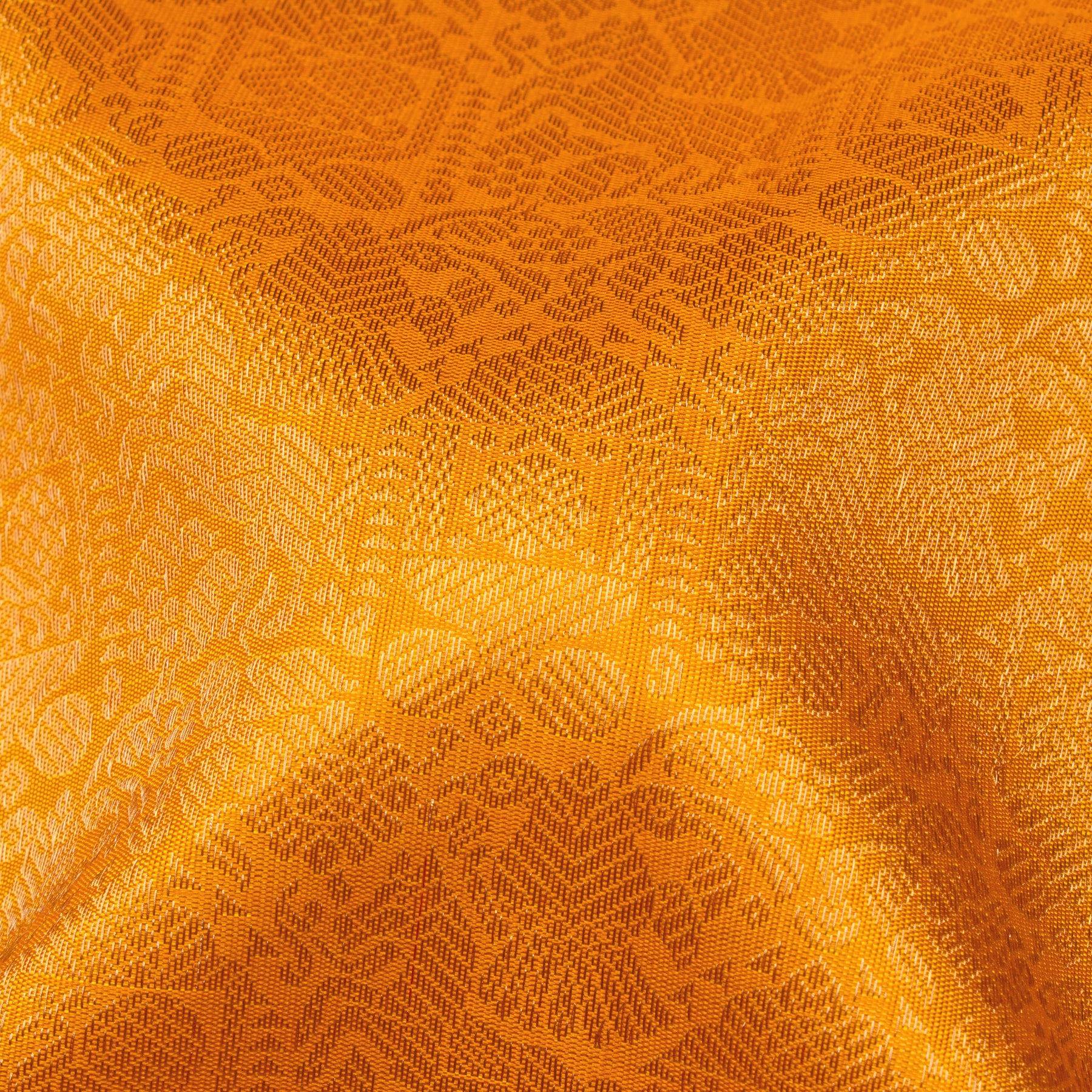 Kanakavalli Kanjivaram Silk Sari 25-110-HS001-08192 - Fabric View