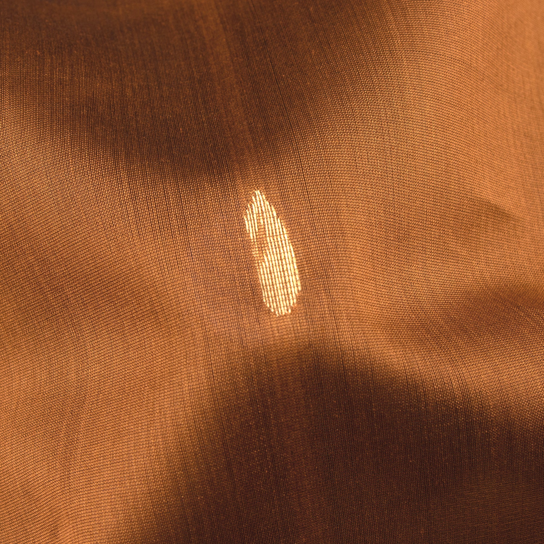 Kanakavalli Silk/Cotton Sari 25-610-HS005-04054 - Fabric View