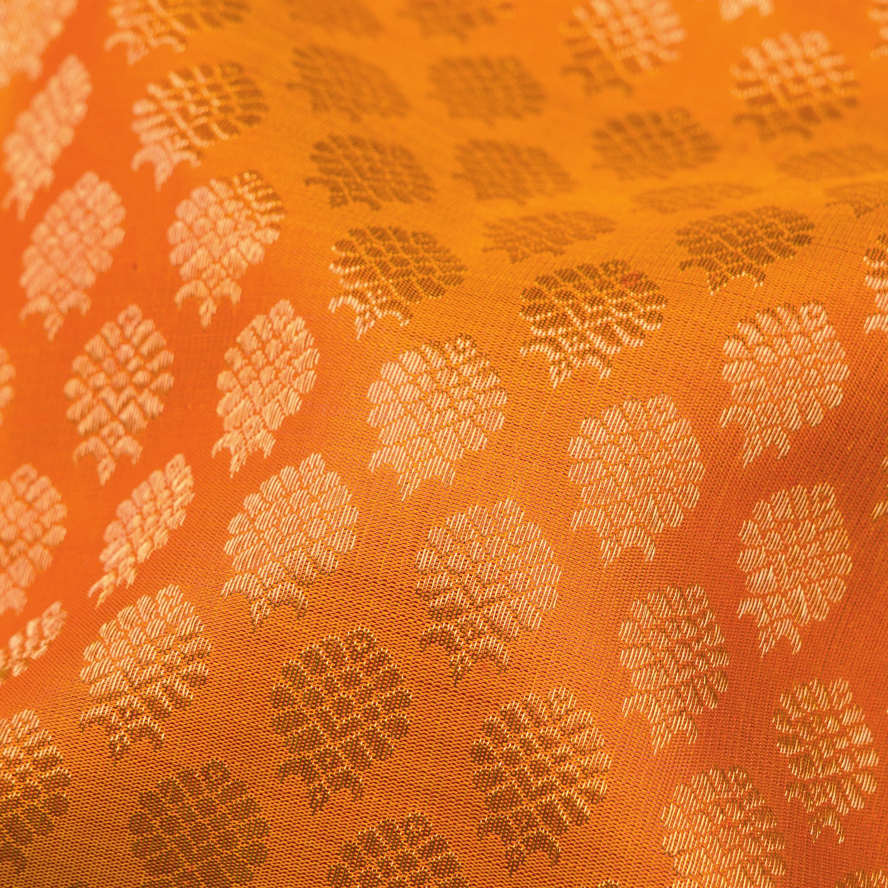 Kanakavalli Kanjivaram Silk Sari 25-611-HS001-08709 - Fabric View