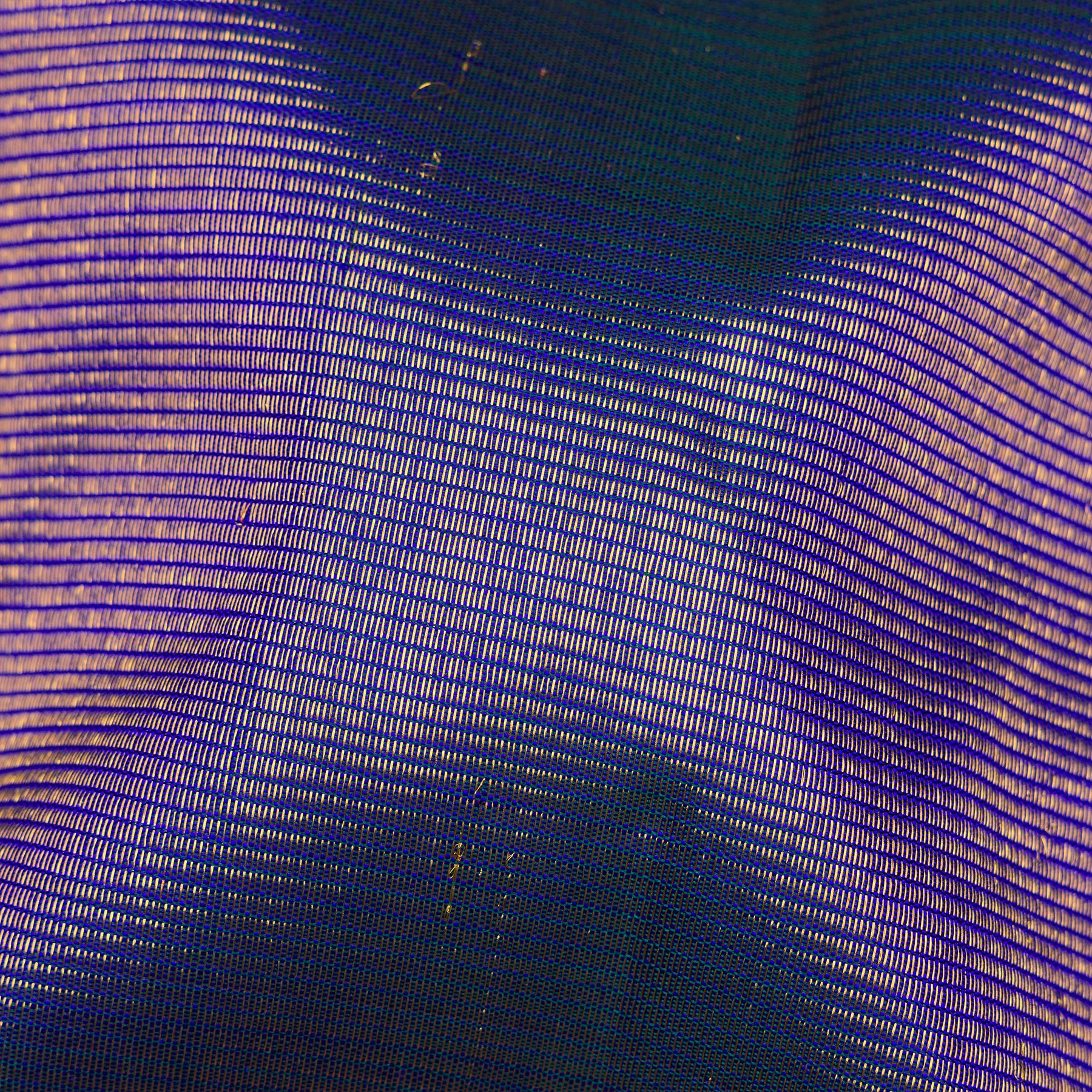 Kanakavalli Kanjivaram Silk Sari 26-599-HS001-01427 - Fabric View