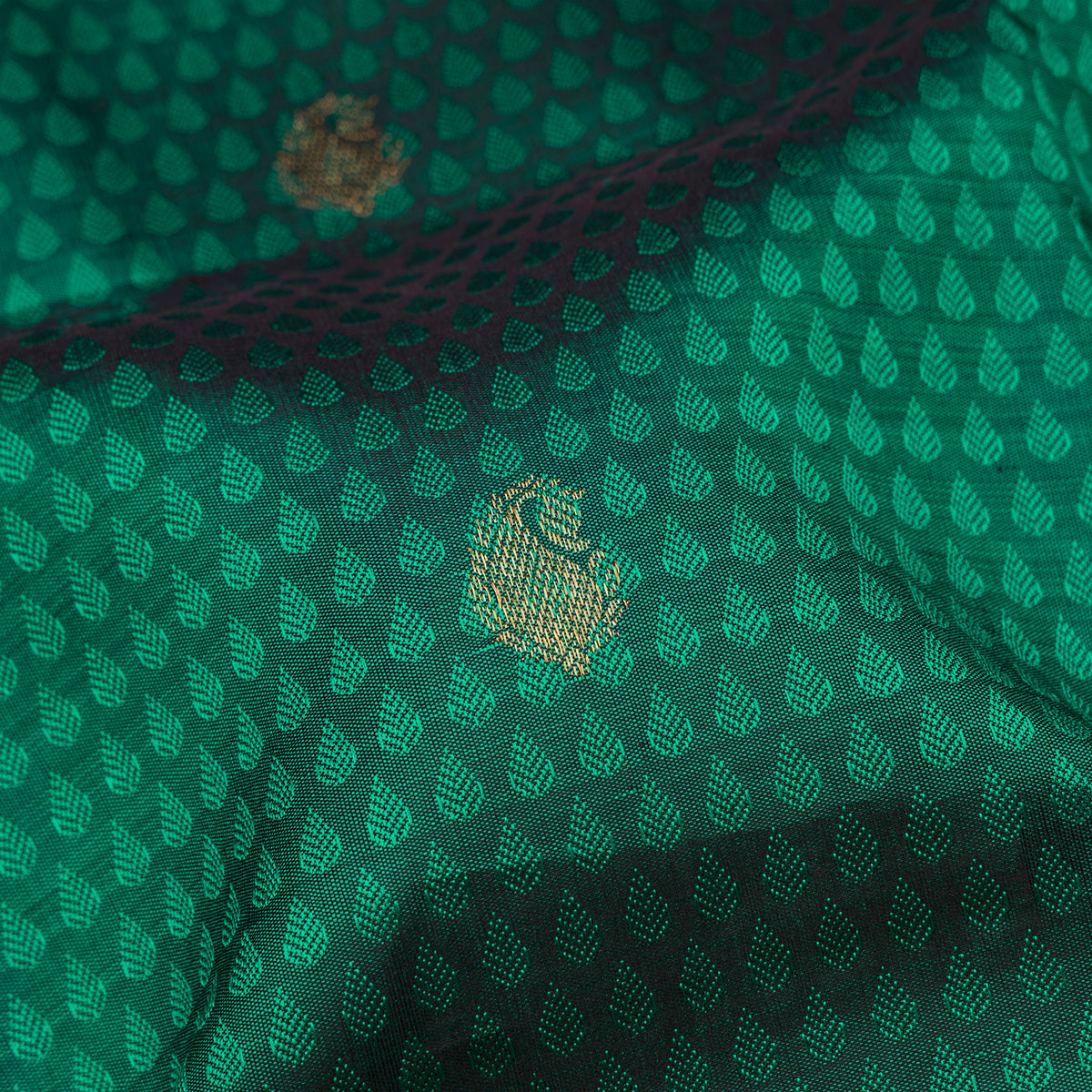 Kanakavalli Kanjivaram Silk Sari 26-611-HS001-01813 - Fabric View